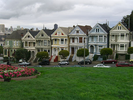 Painted Ladies